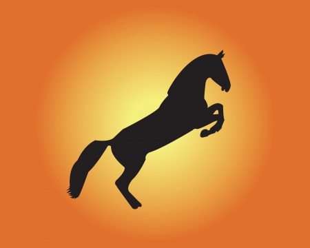 horse on yellow - orange backgroundÐµのイラスト素材
