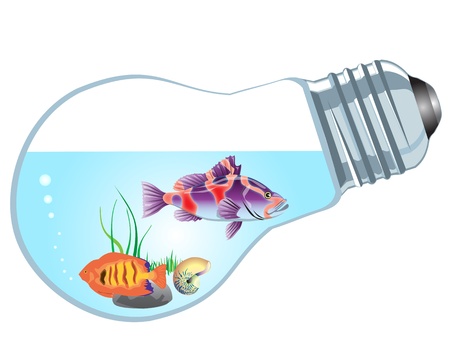 bulb-aquarium with fishes on a white backgroundのイラスト素材