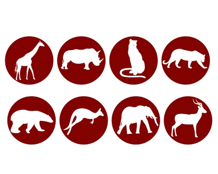 wild animals on a white backgroundのイラスト素材