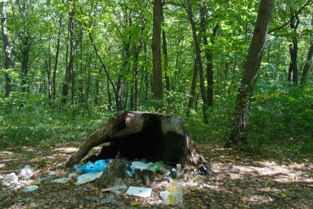 old stump and lying next to the trashの写真素材