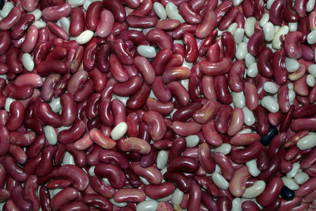 red and white beans for human consumption