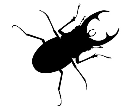 Rogachi or an deer beetles living in the forestのイラスト素材