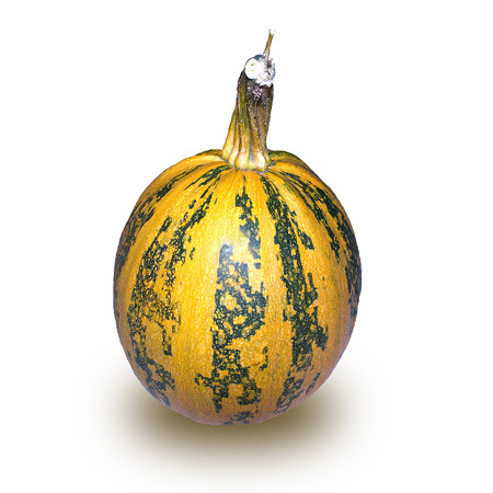 yellow pumpkin with green stripes on a white backgroundの写真素材