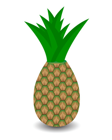 pineapple and green leaves with shadow bottomのイラスト素材