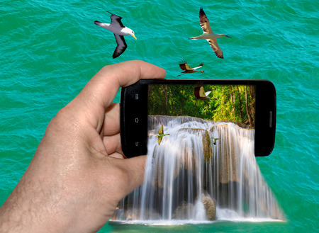 hand holds the phone with the phone flowing waterfall and birdsの写真素材