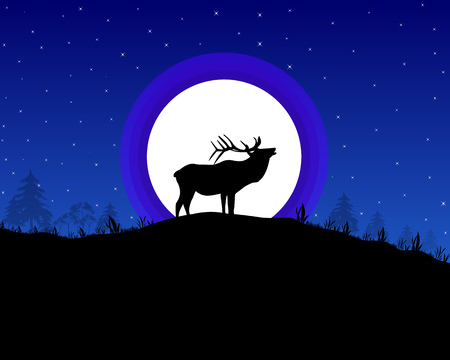 deer in the background of the moon of stars and the blue skyのイラスト素材