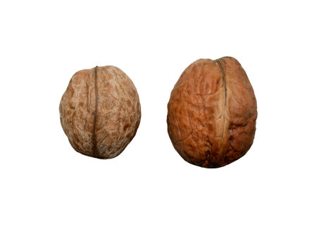 two inshell walnuts on a white background