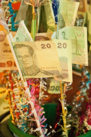 twentyの写真素材