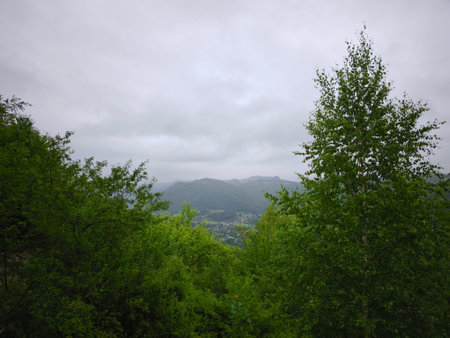 This vertical landscape photograph captures the serene beauty of rolling hills covered in dense...