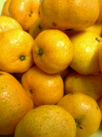 Close up orangesの素材