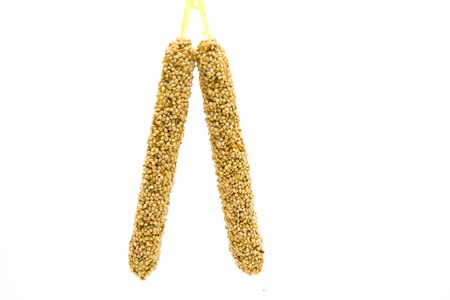 Millet の写真素材