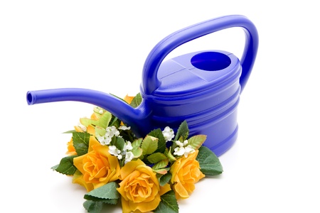 Blue watering can with flowersの写真素材