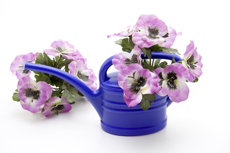Blue watering can with flowersの写真素材