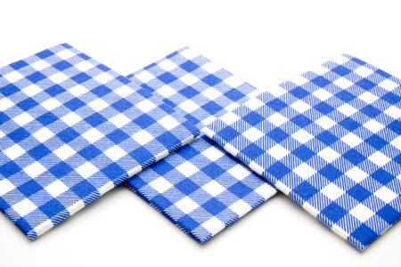 Blue white checked napkin