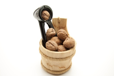 Walnut in the nutcrackerの写真素材
