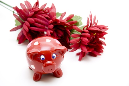 Red piggy bankの写真素材