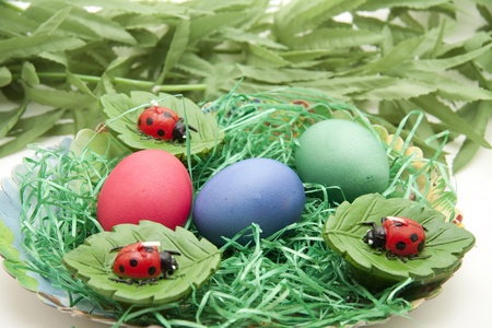 Easter nest with ladybirdsの写真素材