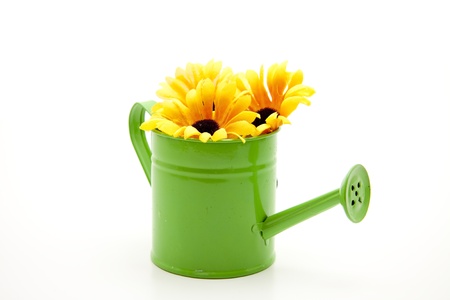 Watering can with sunflowersの写真素材