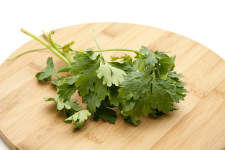 Celery leaves