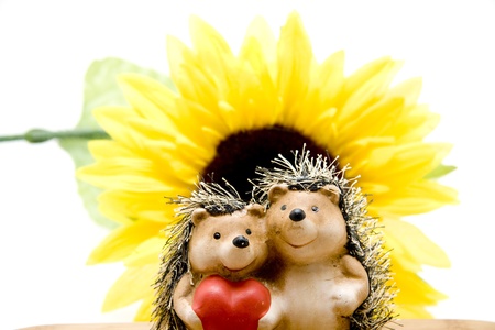 Hedgehogs pair before sunflowerの写真素材