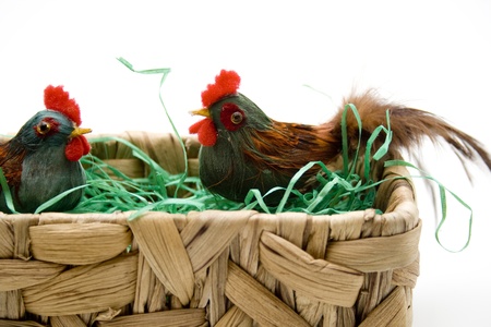 Easter chicken in the basketの写真素材