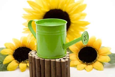 Watering can with sunflowersの写真素材