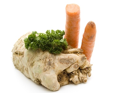 Celery with potato and onionの写真素材