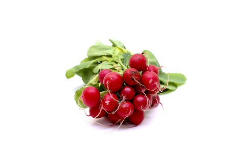 Radishes