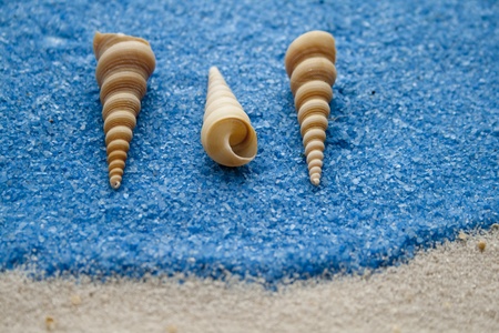 Mussels on blue little stonesの写真素材