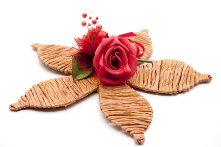 Phloem leafの写真素材