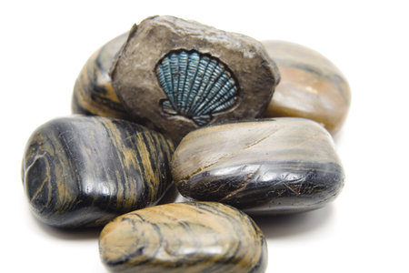 Stones and mussel stone