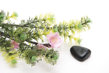 Flower branch and stoneの写真素材