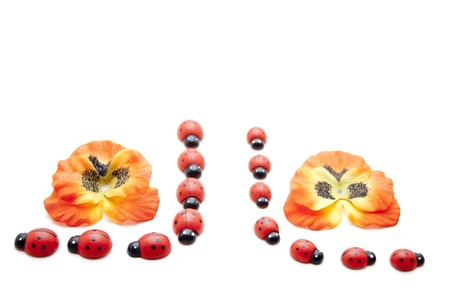 Red wooden beetles with flowerの写真素材