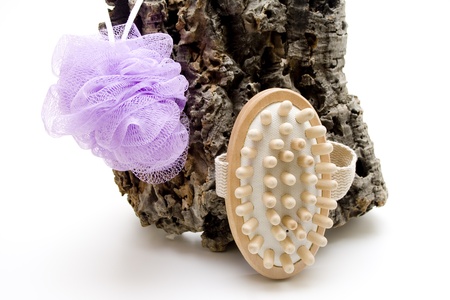 Massage brush and tree barkの写真素材