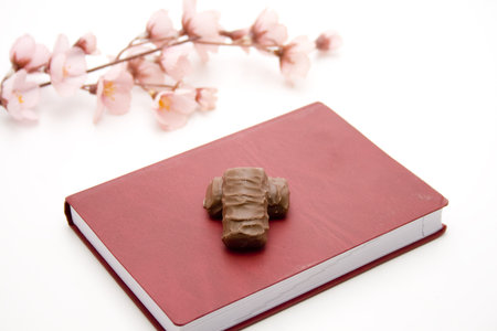  Chocolate with notebook
