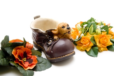 Shoe with dogの写真素材