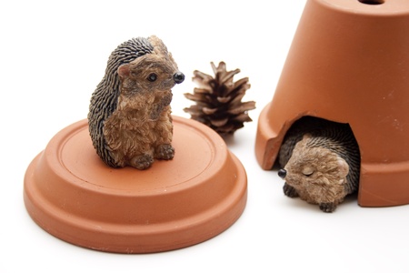   Hedgehog pair of with flowerpotの写真素材
