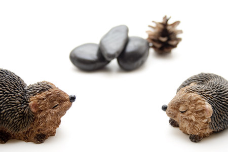   Hedgehog pair of with stones