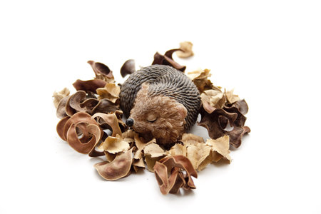   Hedgehog on potpourri