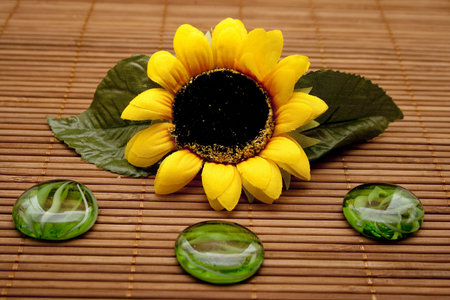 Sunflower with stones 