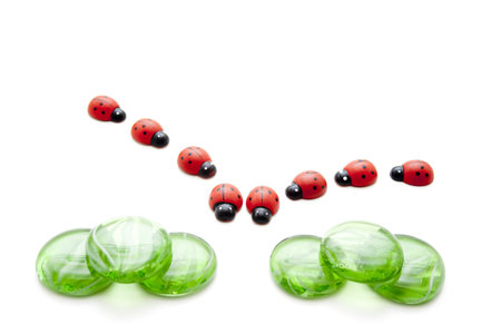 Glass stones with wooden beetleの写真素材