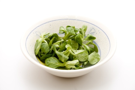 Green field Salad in porcelain bowlの写真素材