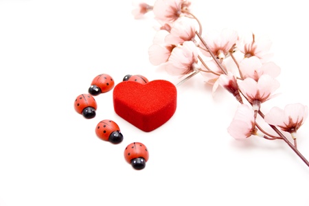 Material heart with wooden beetleの写真素材