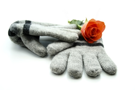 Wool gloves with roseの写真素材