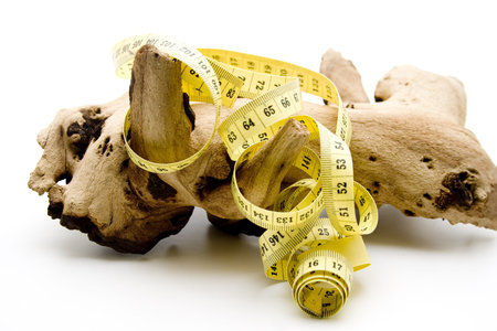 Wooden root with dimension tape