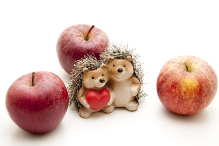 Apples and hedgehogs pair of onesの写真素材