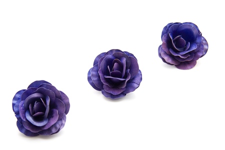 Blue rosesの写真素材