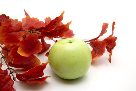 Green apple with autumn foliageの写真素材