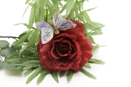 Rose with butterflyの写真素材