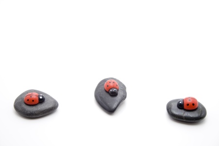 Wooden beetle on stonesの写真素材